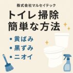 トイレ掃除簡単な方法